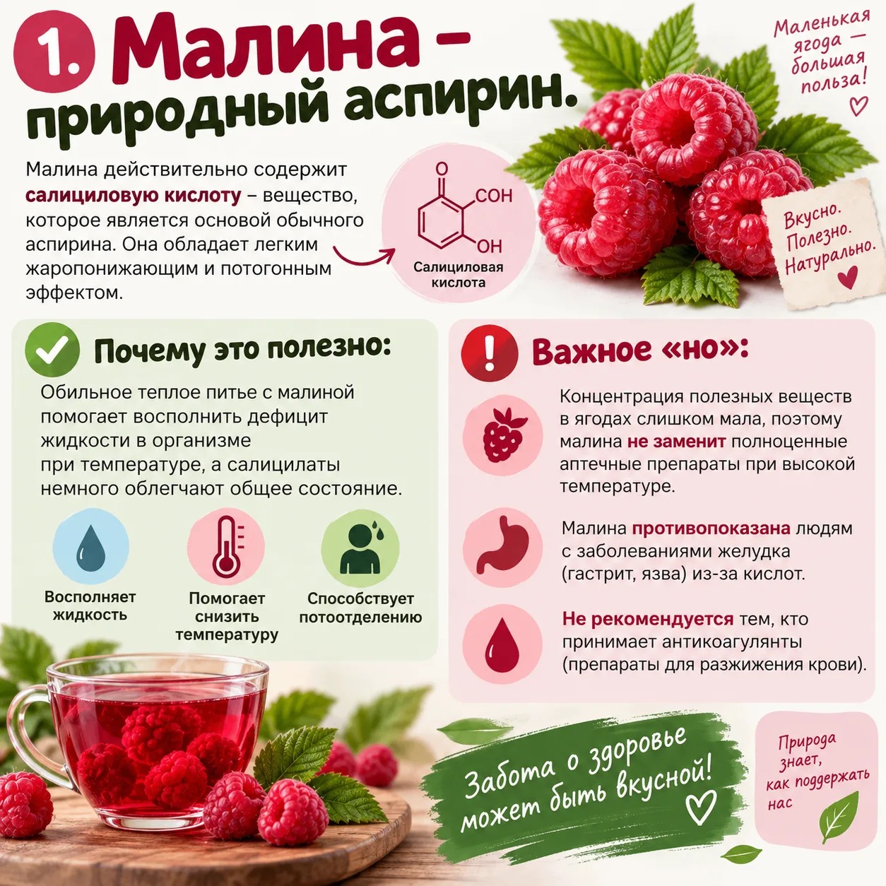 Малина, чеснок и покой: что из народных средств действительно помогает при простуде. ча...