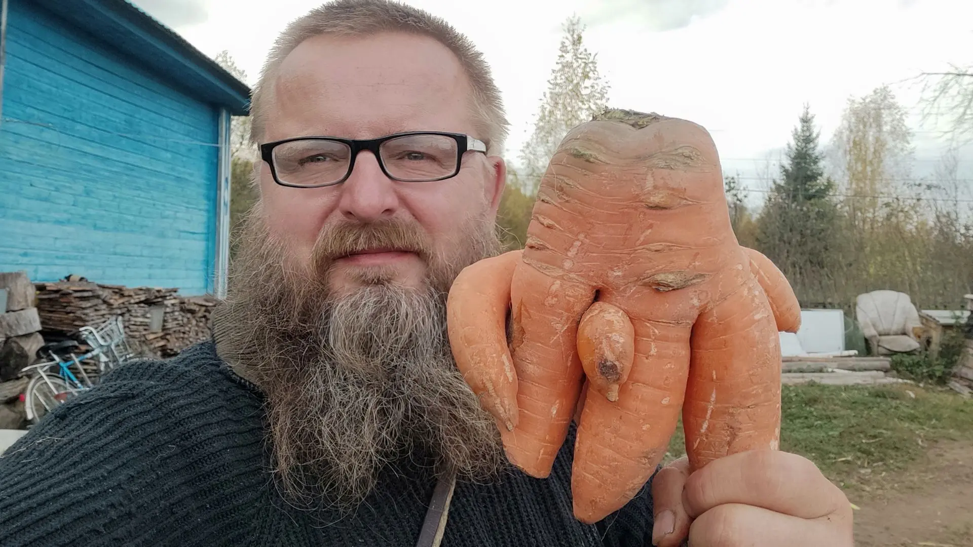 Такая вот морковища! Не выросла у меня, нет, просто отдали.