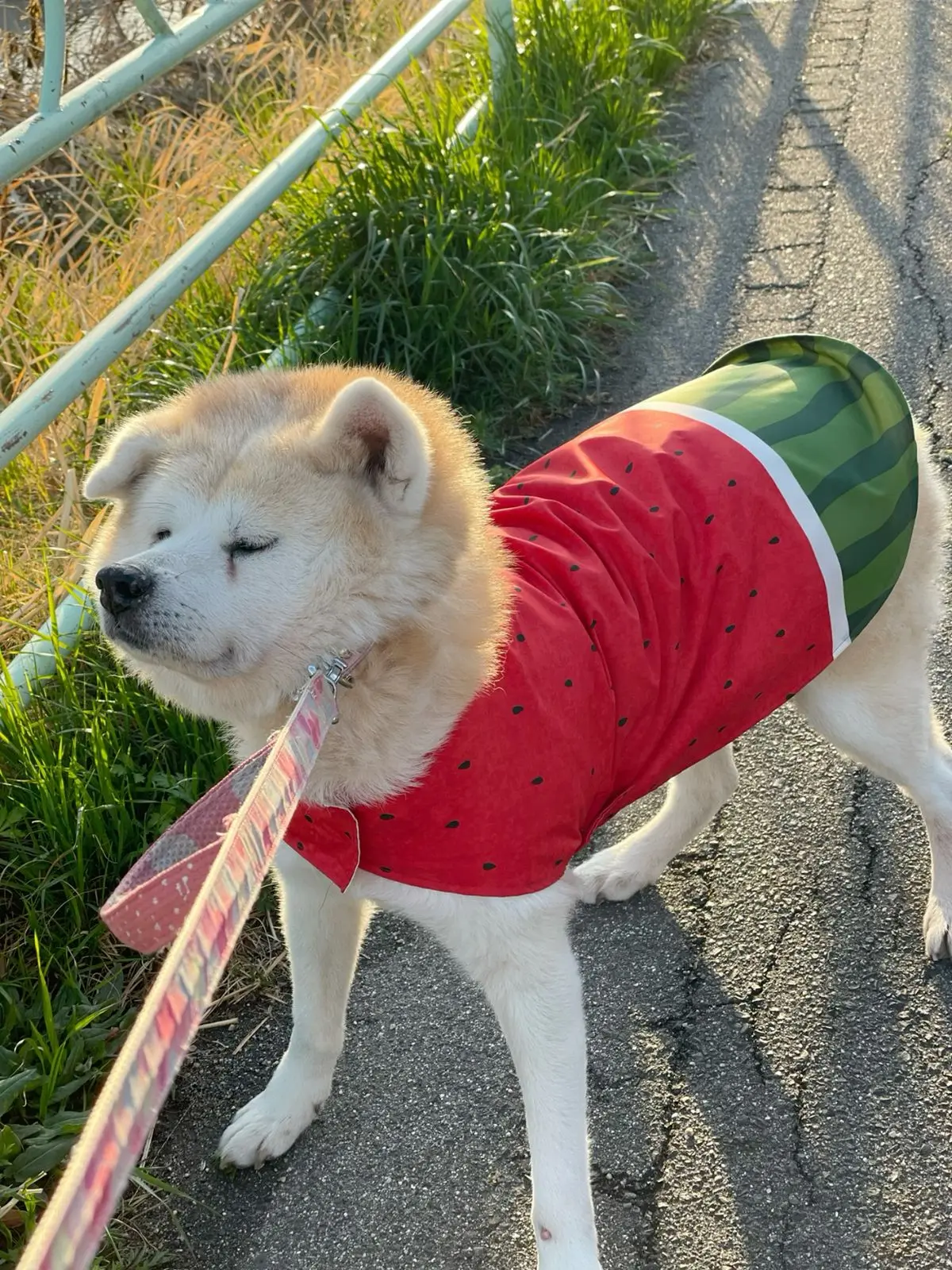 А вот не надо было говорить, что хочешь меня съесть😛