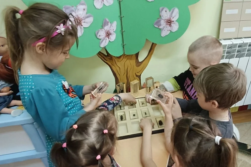 🐞 Насекомые: маленькие чудеса большого мира!