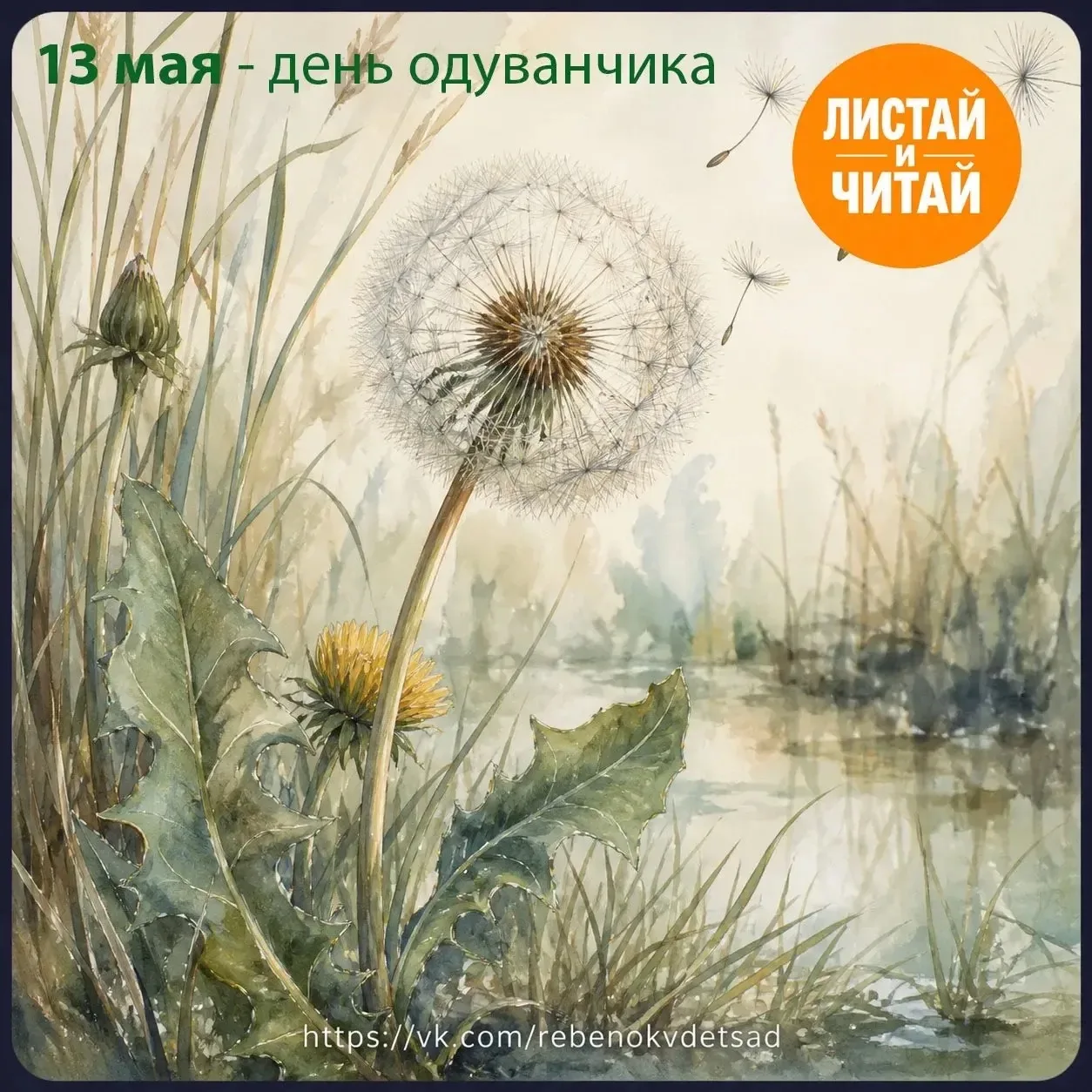 🌼 5 удивительных фактов об одуванчике для детей