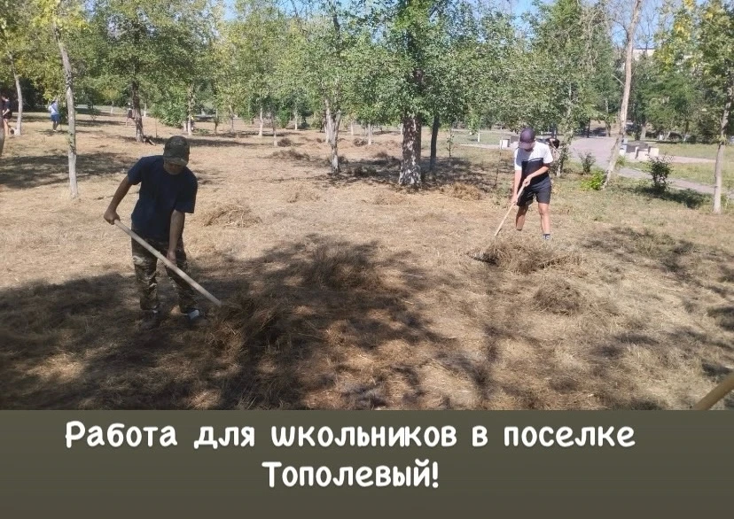 ИП Пониделко Елена Николаевна (п. Тополевый, Красносулинский район) приглашает ответств...