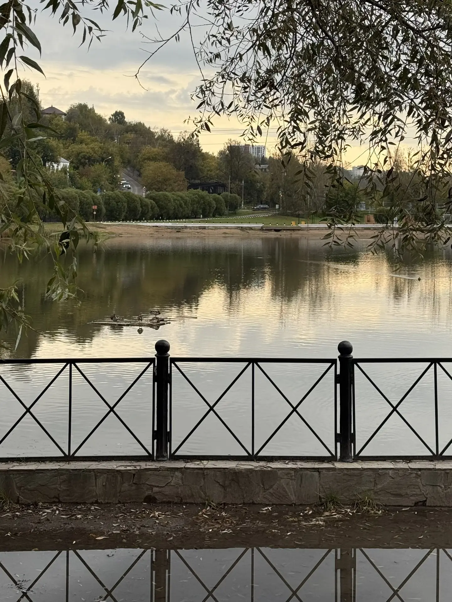Доброе утро ☀️💛🧡💜