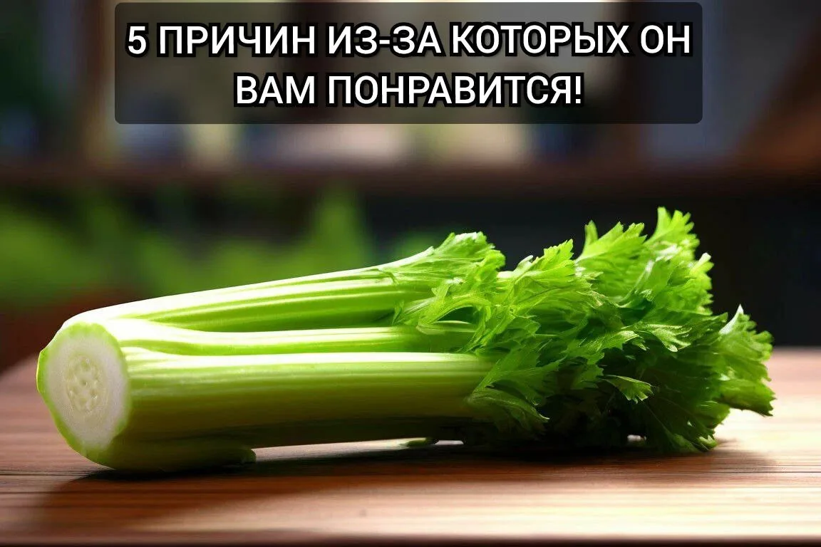 ▎5 ПРИЧИН, ПОЧЕМУ СЕЛЬДЕРЕЙ СТОИТ ВКЛЮЧИТЬ В СВОЙ РАЦИОН.