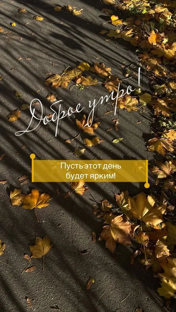Доброе утро! Пусть ваш день будет лёгким, солнечным и полным маленьких радостей.☀️