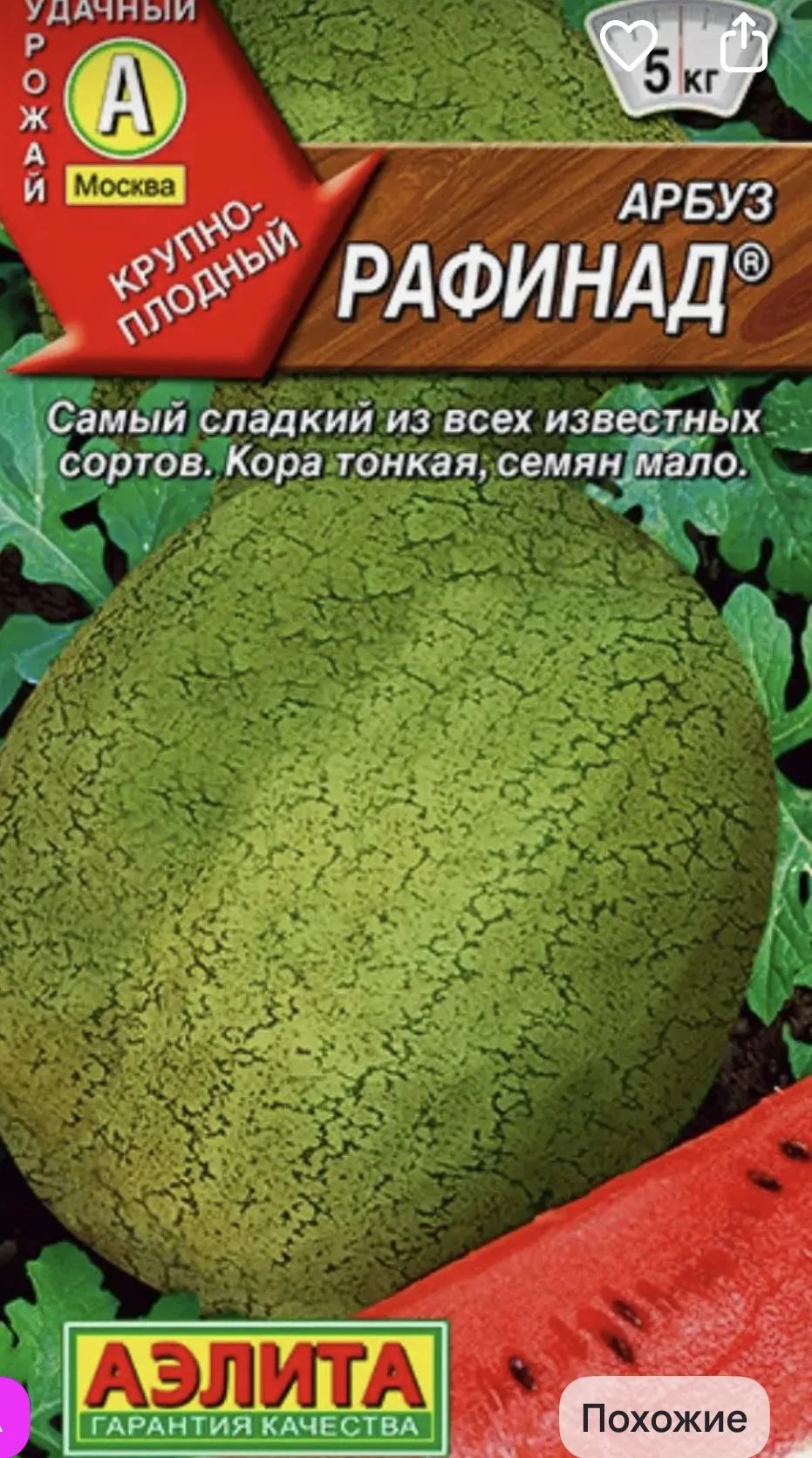 Арбузы этого года 🍉