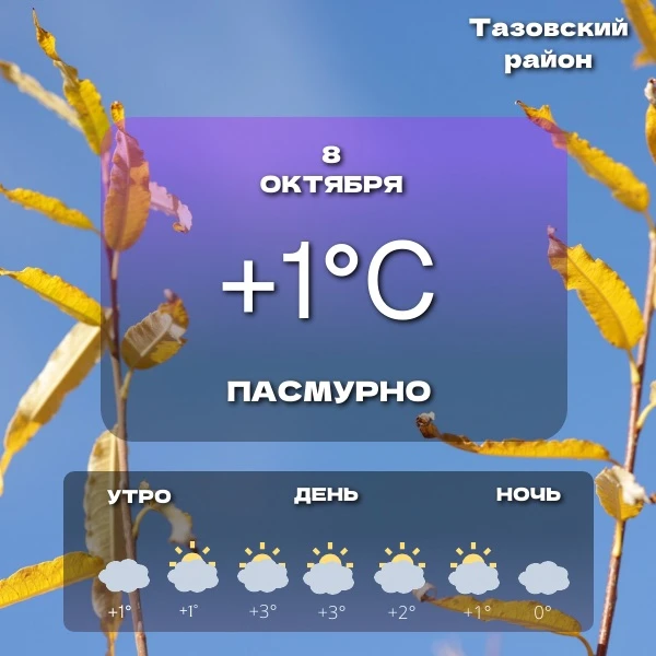 🌤️Прогноз погоды на сегодня
