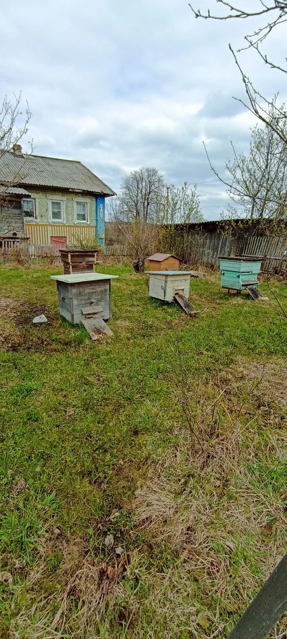 Уважаемые пчеловоды!