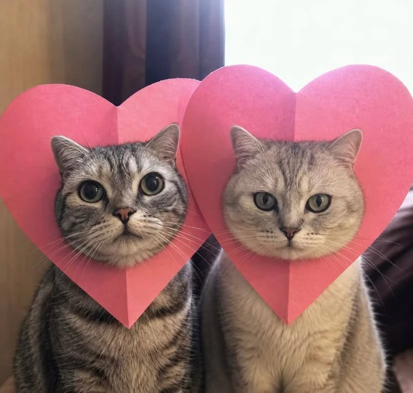 😍 День мира отмечается сегодня 

Перешлите тому, с кем хотите никогда не ссориться @spbtoday