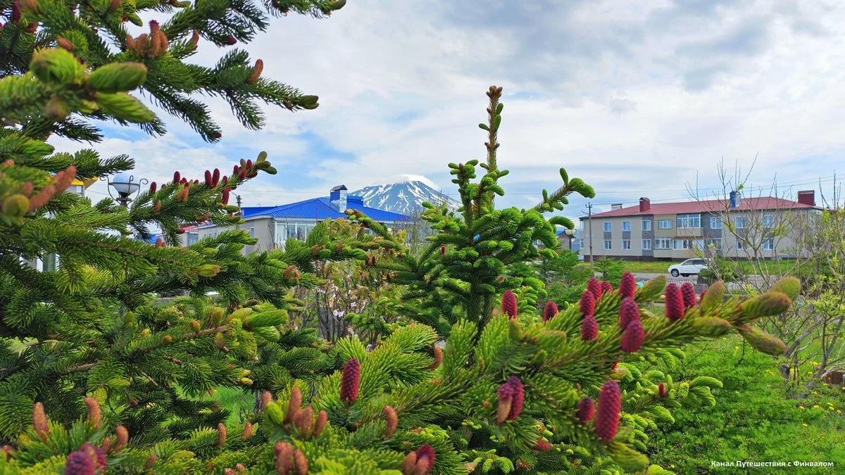 Сегодня в Курильске: дождь и солнце 😊
Сборка тримарана идёт по плану, а груз, отправленный нами из 