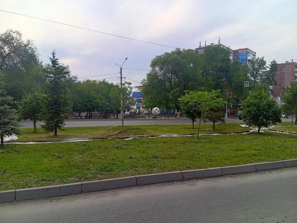 В Минусинске засветятся деревья по Абаканской