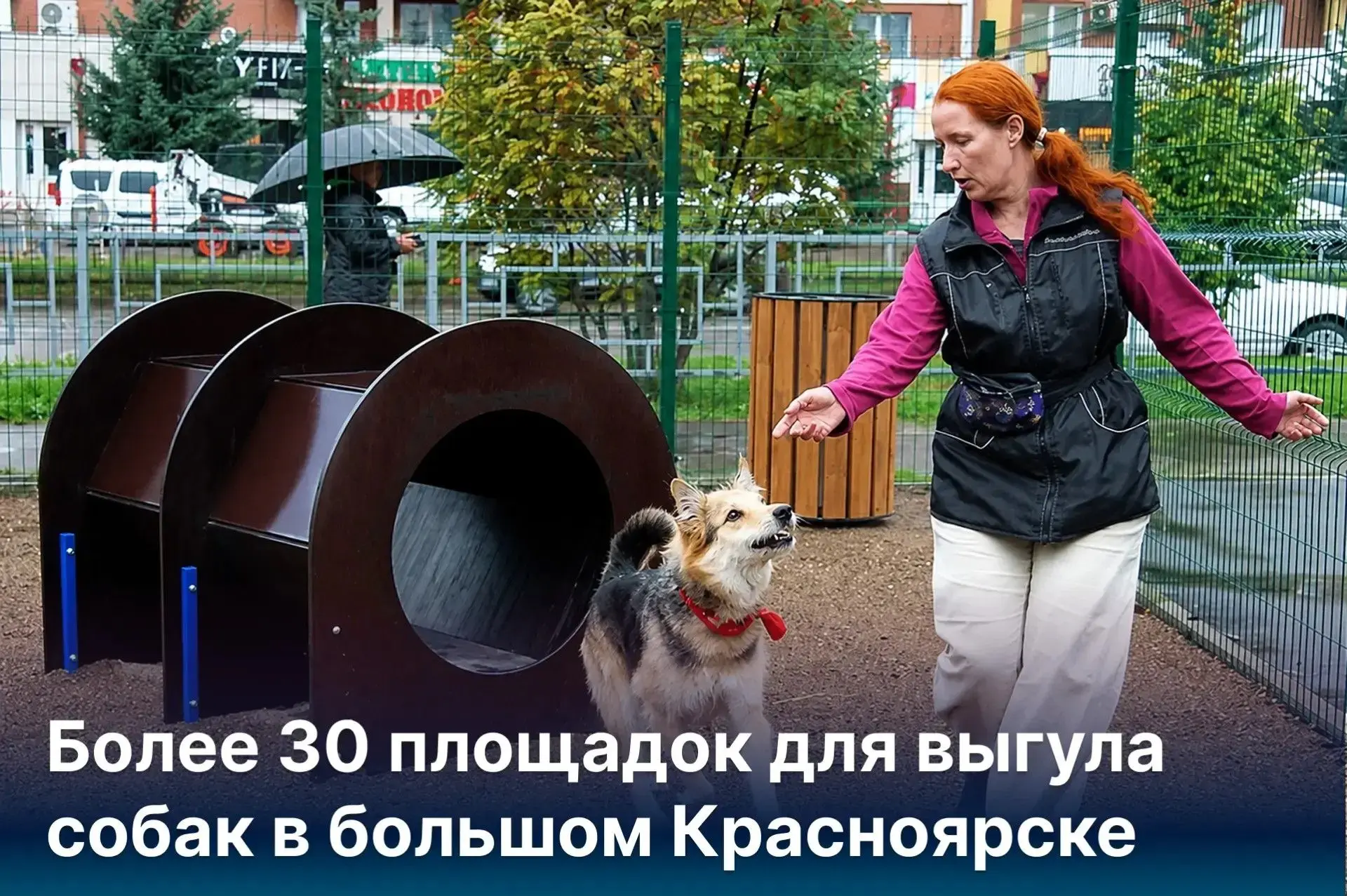 🐶 Ещё 6 площадок для выгула собак появятся в Красноярске

Сейчас идёт обустройство двух: в сквере Э