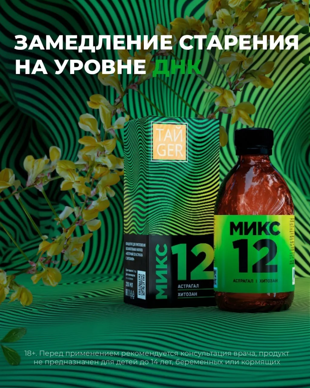 Микс 12 – природный комплекс для активного долголетия 💪

🌿 Знали ли вы, что одно из самых известны