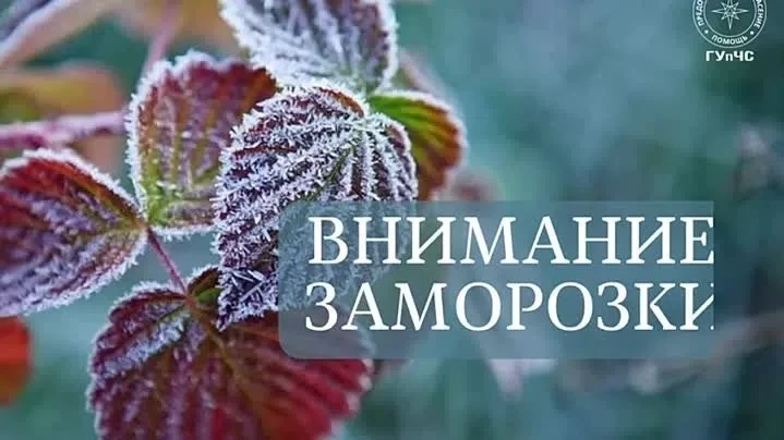 Прогнозируются опасные метеорологические явления: ночью местами ожидаются заморозки в в...