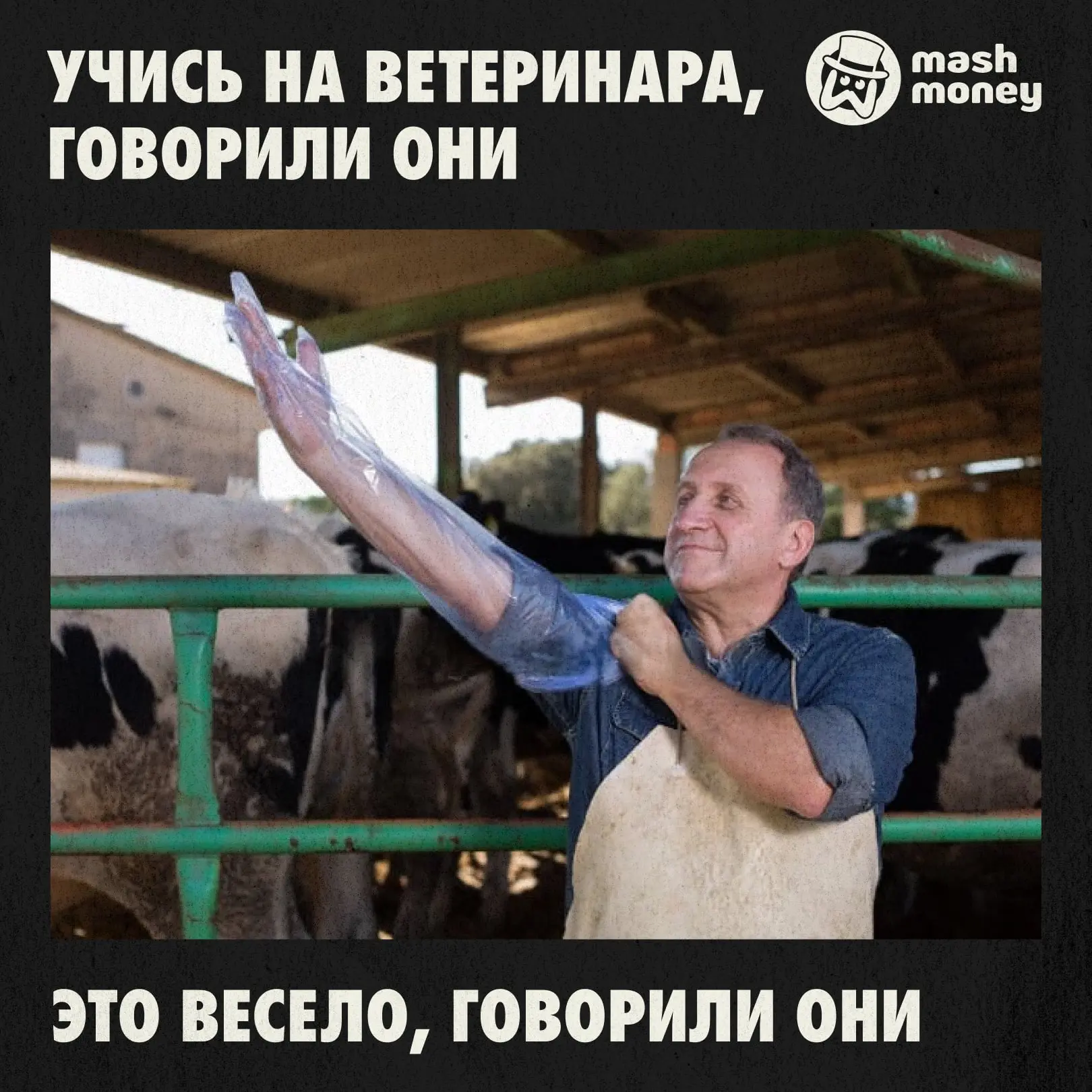 Ветеринары в Москве зарабатывают до 350 тысяч рублей, несмотря на растущую конкуренцию, выяснил Mash