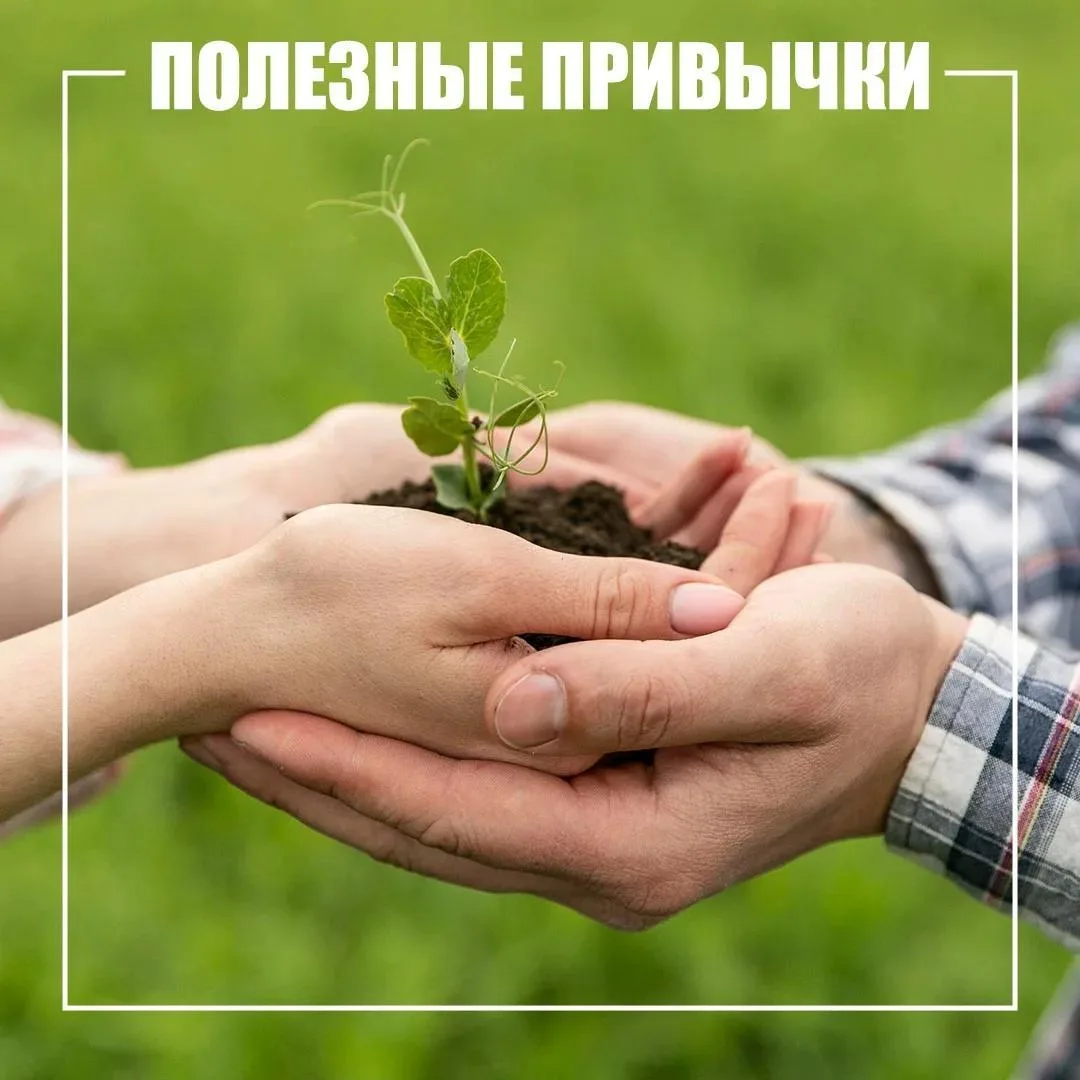 Полезные привычки формируются с детства

Ежедневно напоминайте детям о простых, но важных правилах:
