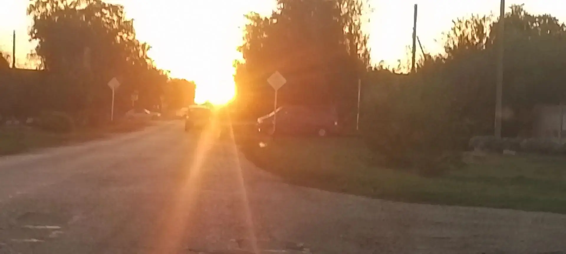 Сегодня был по-настоящему золотой закат 🌅. Солнце окрашивало всё вокруг в глубокие ора...