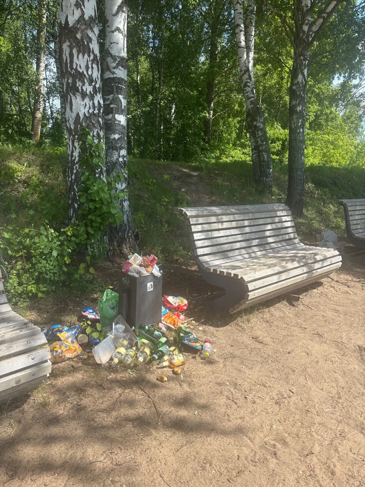 «Люди», в следующий раз, когда будете бросать мусор, хрюкнуть не забудьте! Недалеко стоят большие ко