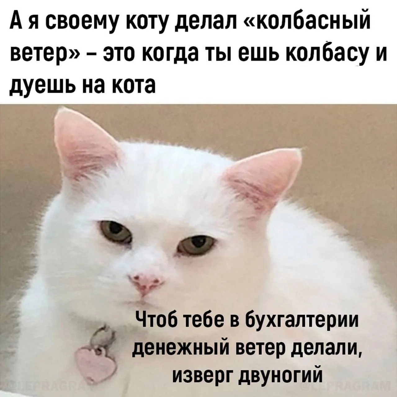 Наш канал ЛУЧИК РАДОСТИ ✨