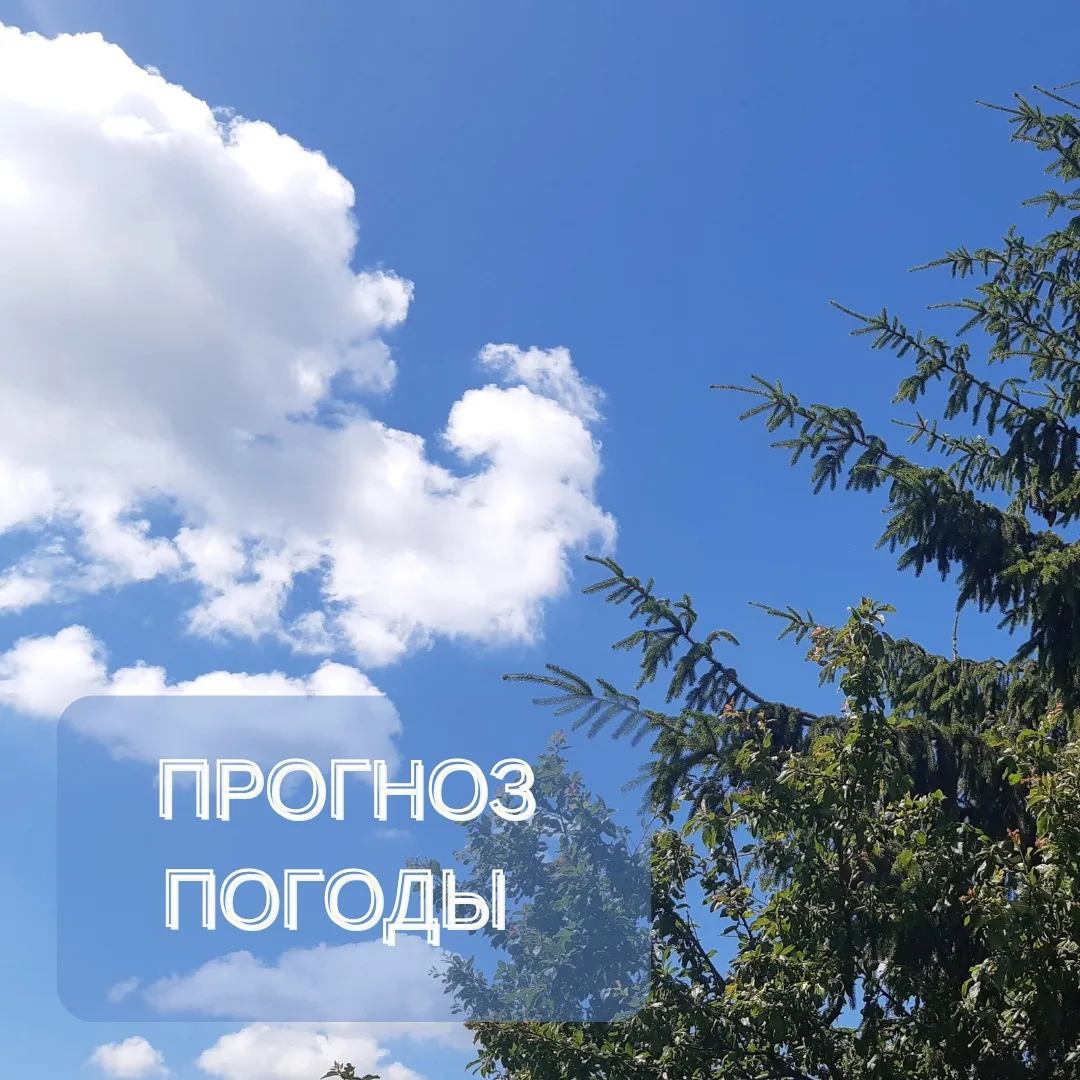 Прогноз погоды по Архангельской области