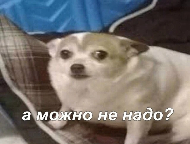 В Саранск пришло кратковременное похолодание

Как рассказали «Известиям Мордовии» в региональном Гид