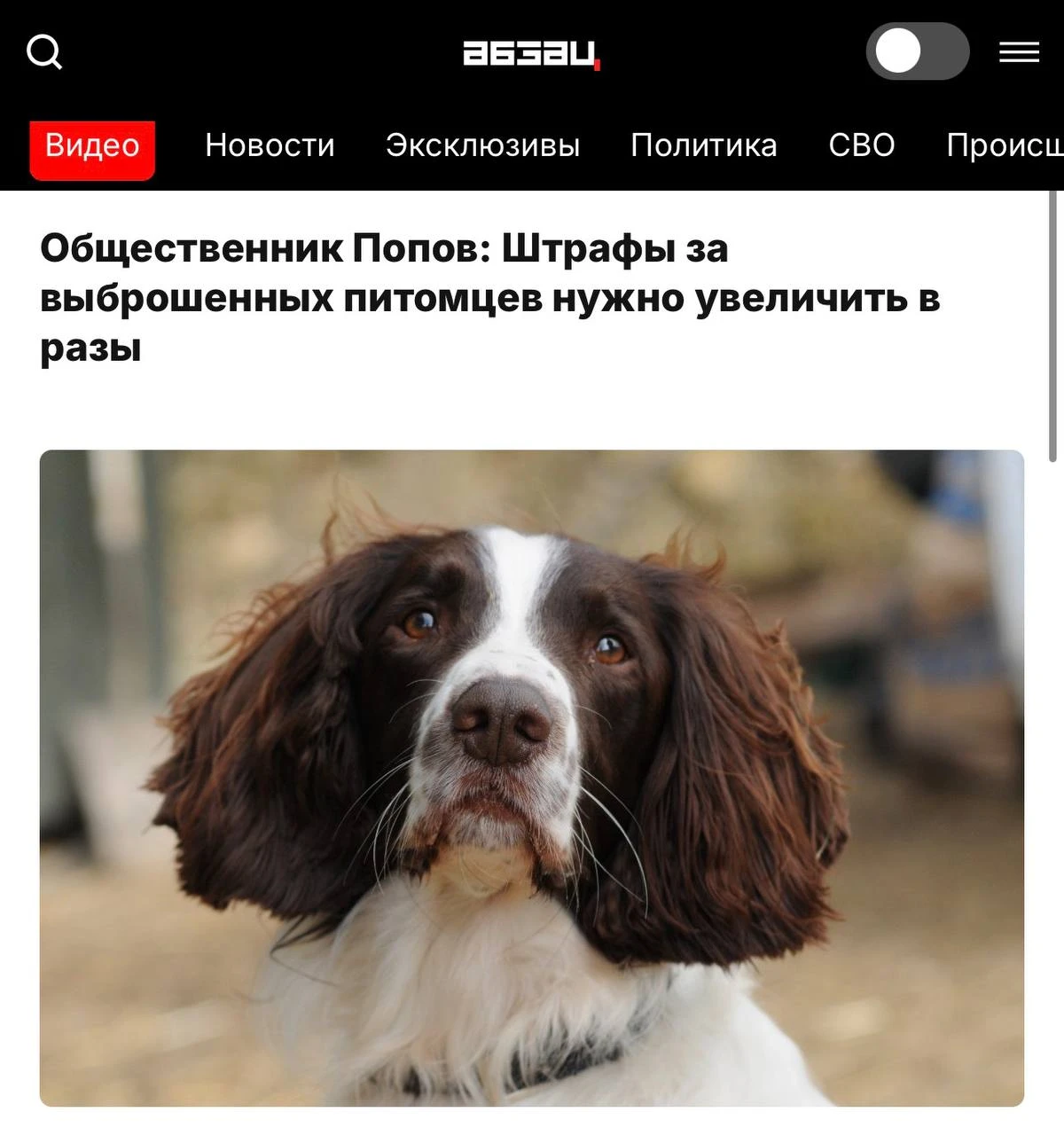 Изображение 1 к публикации «Москва онлайн | Новости Москвы»