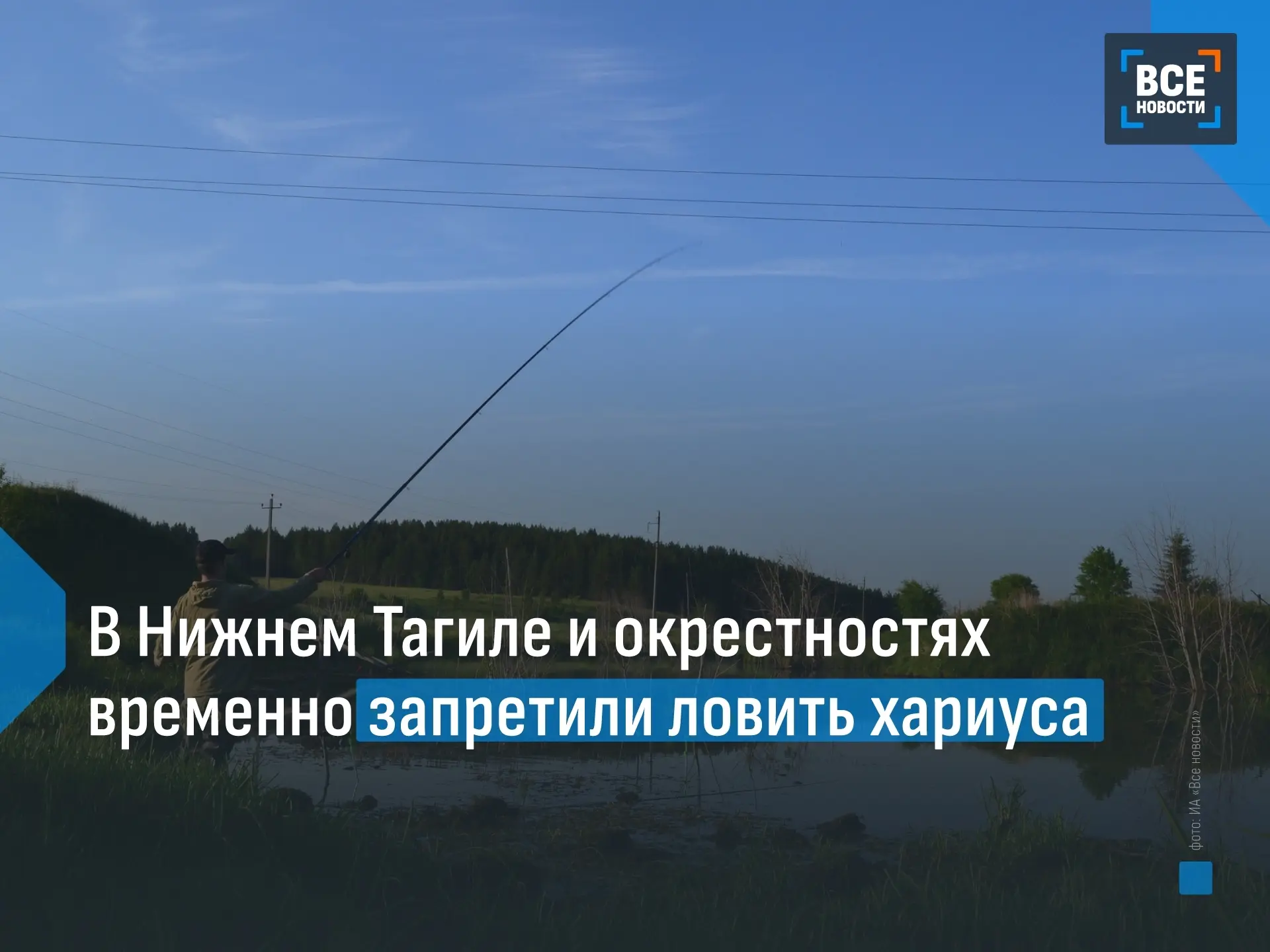 В Свердловской области ввели сезонные ограничения на вылов некоторых видов рыб. С 20 ок...