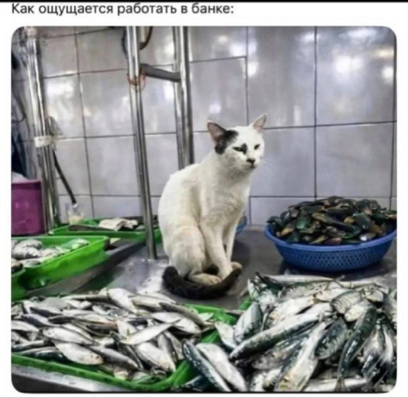 Тут важна сила духа.

Саморазвитие — Подпишись!