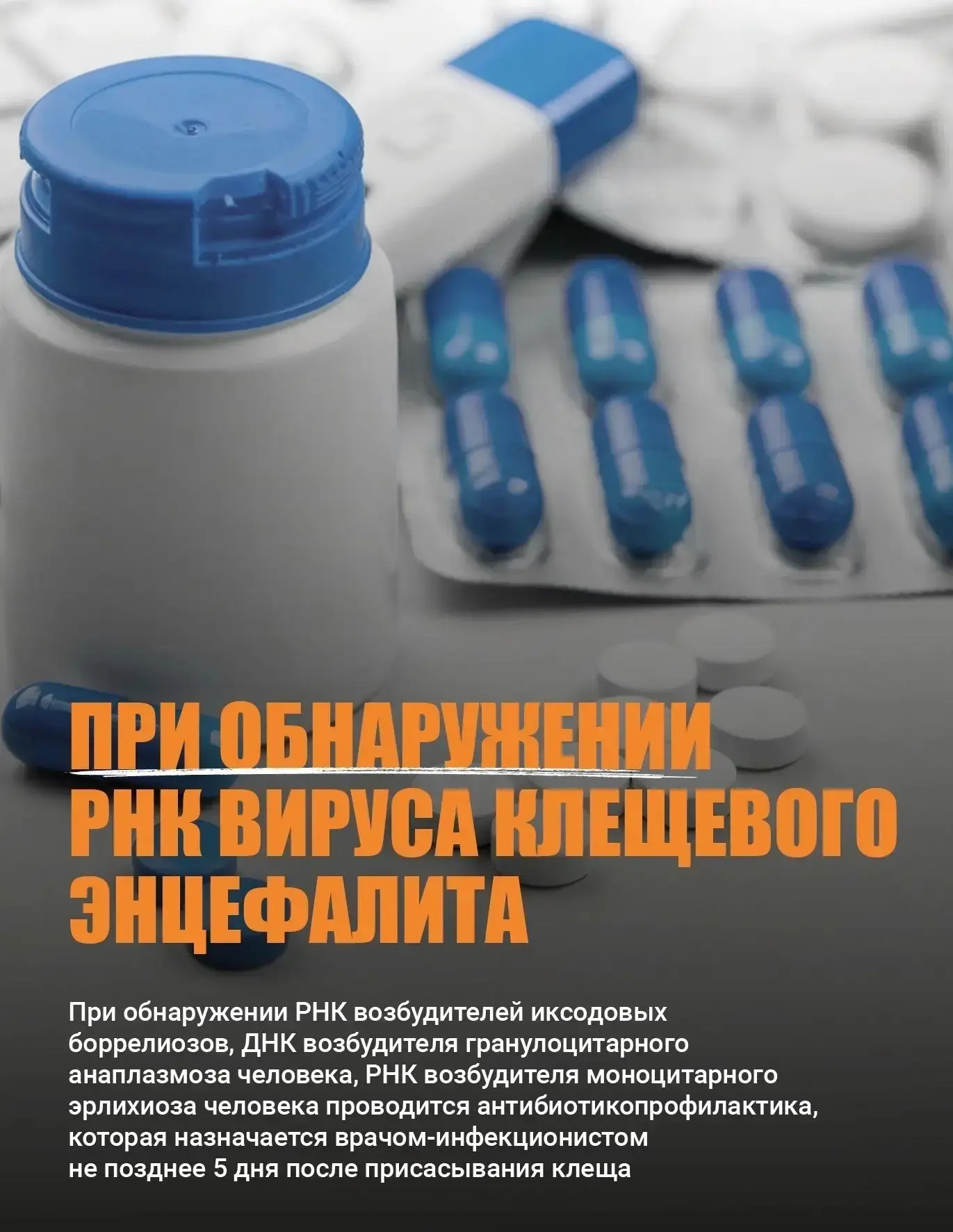 Погода дарит теплые, солнечные дни, а это отличная возможность выбраться всей семьей, с друзьями на 