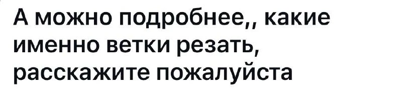 Завалили меня вопросами про обрезку смородину, давайте разбираться 👇