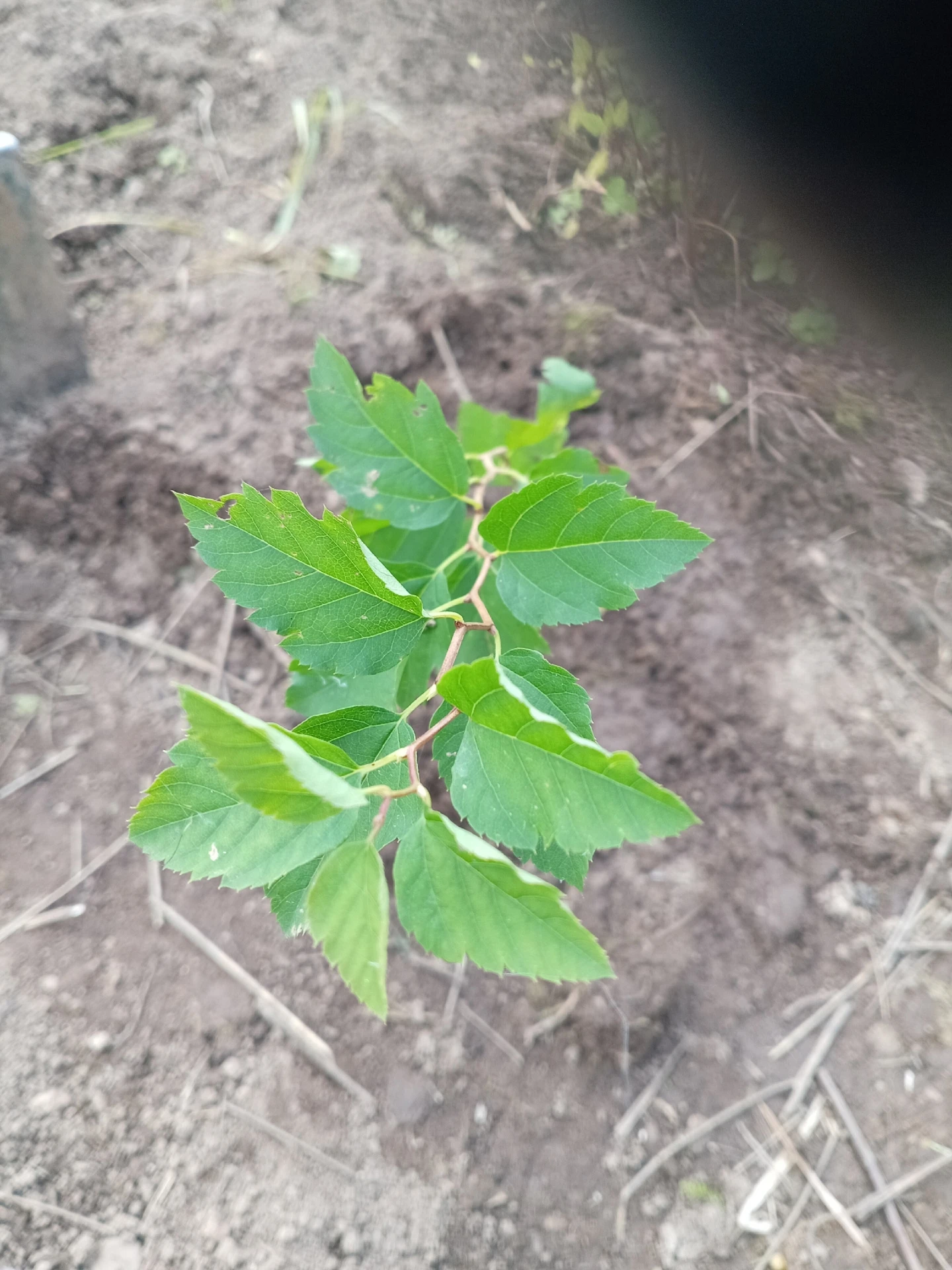 🌿Вопрос от подписчика🌿