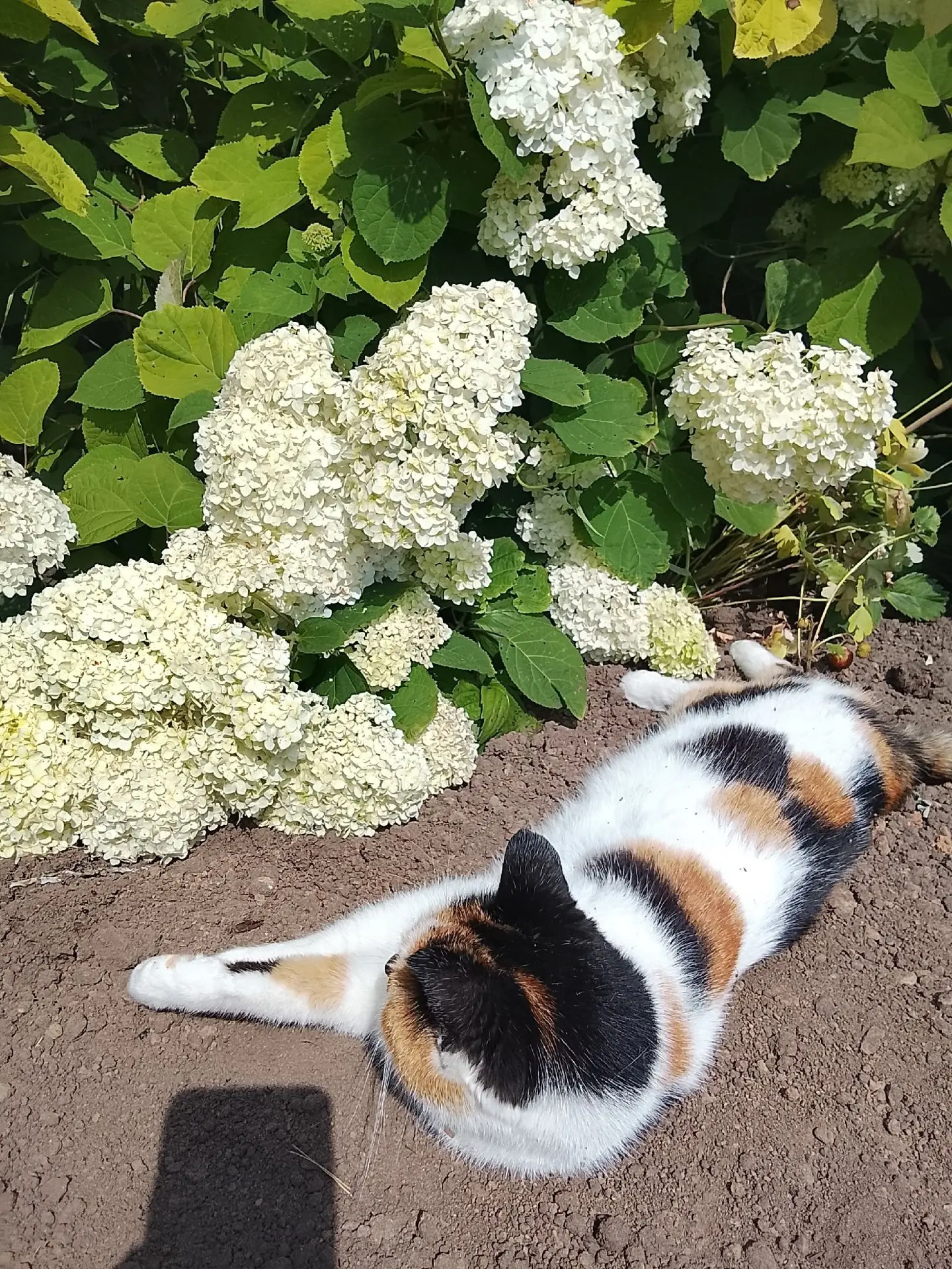 ☀ Доброе утро! 

Сегодня отличный день, чтобы запланировать на вечер чтение. 

Например, можно выбра