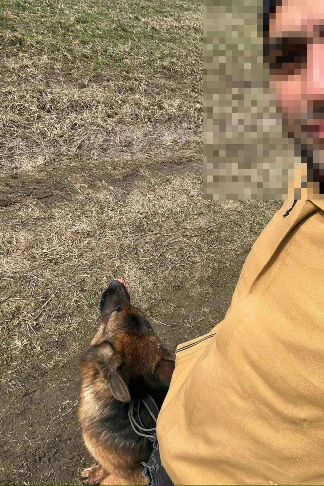 ❤️Счастливый финал   Вторую овчарку нашли — она дома 🙏 Спустя 2 дня поисков, переживаний и благодаря