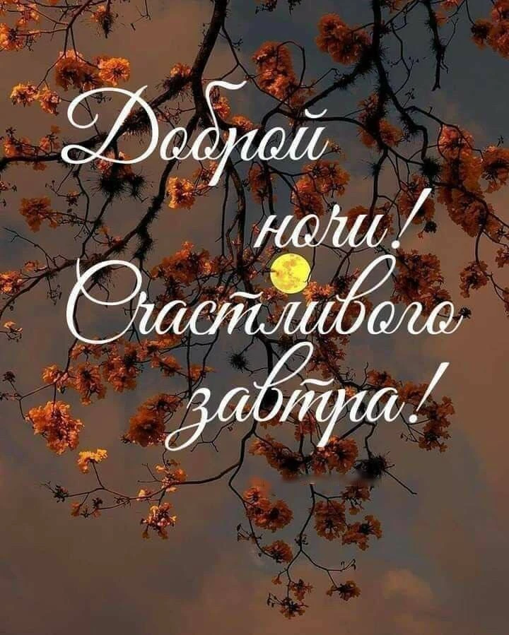 Доброй ночи, хороших снов! 🌃