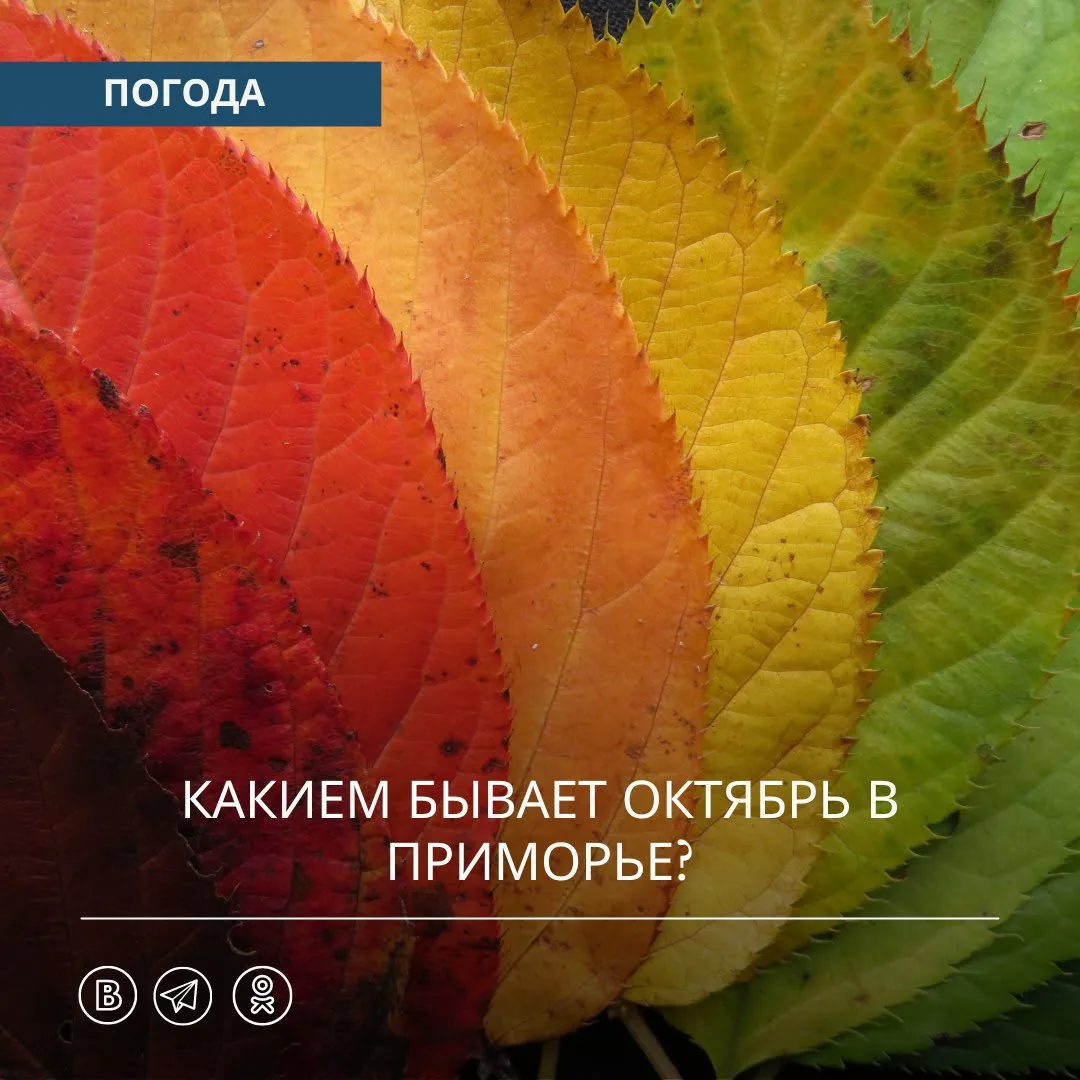 🍁 Октябрь в Приморье всегда разный. Он ещё может порадовать тёплыми солнечными днями, ...