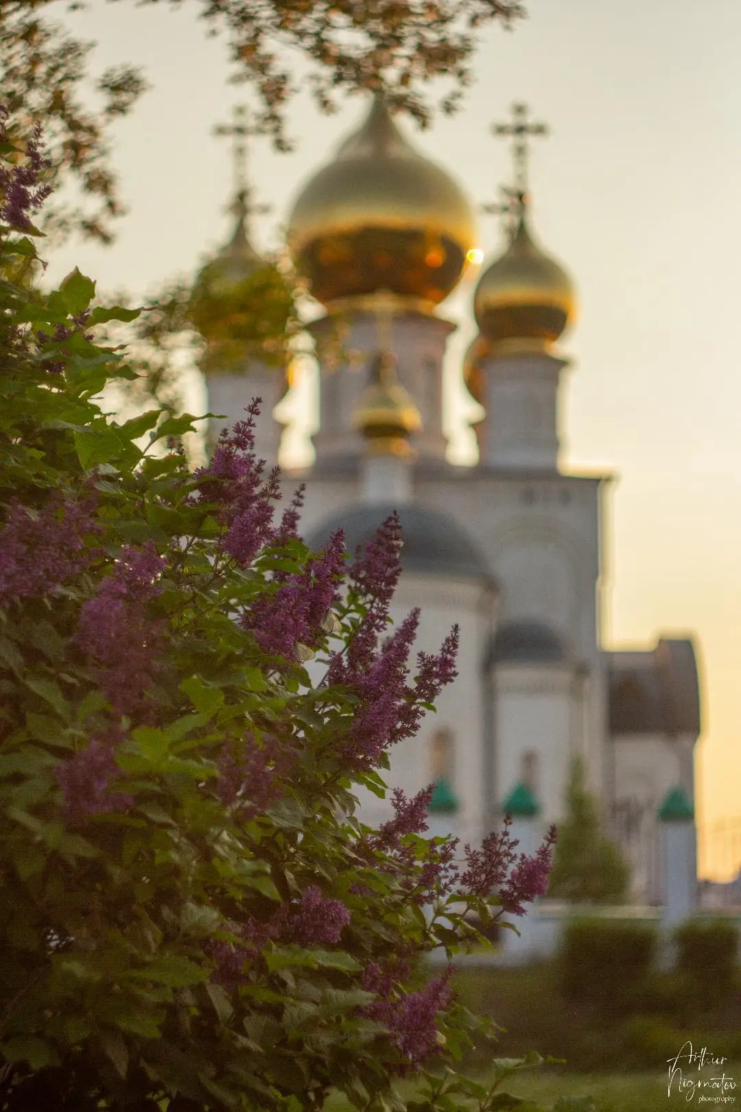 Летний Абакан в объективе Артура Нигматова 😍

🩵 красоте!