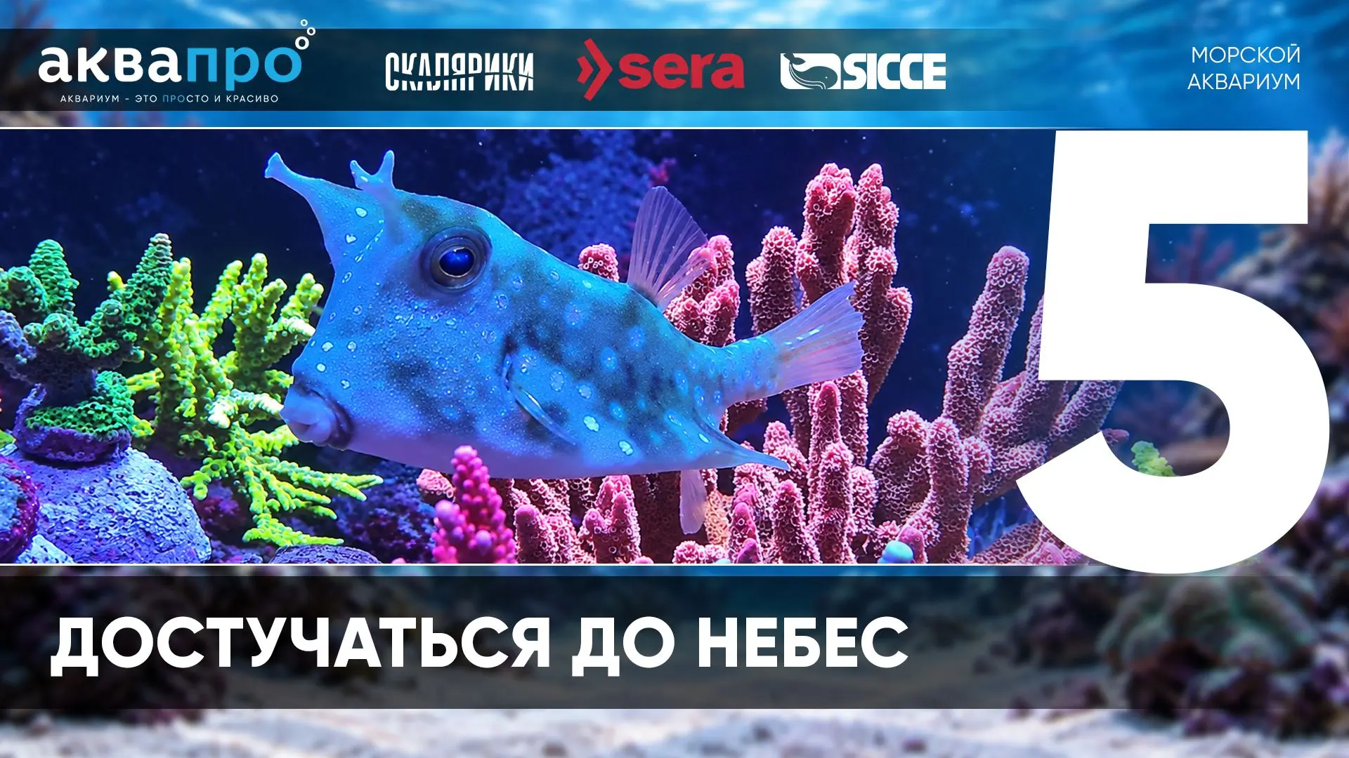 Фамилия Имя Отчество: Кулабухов Юрий Владимирович
