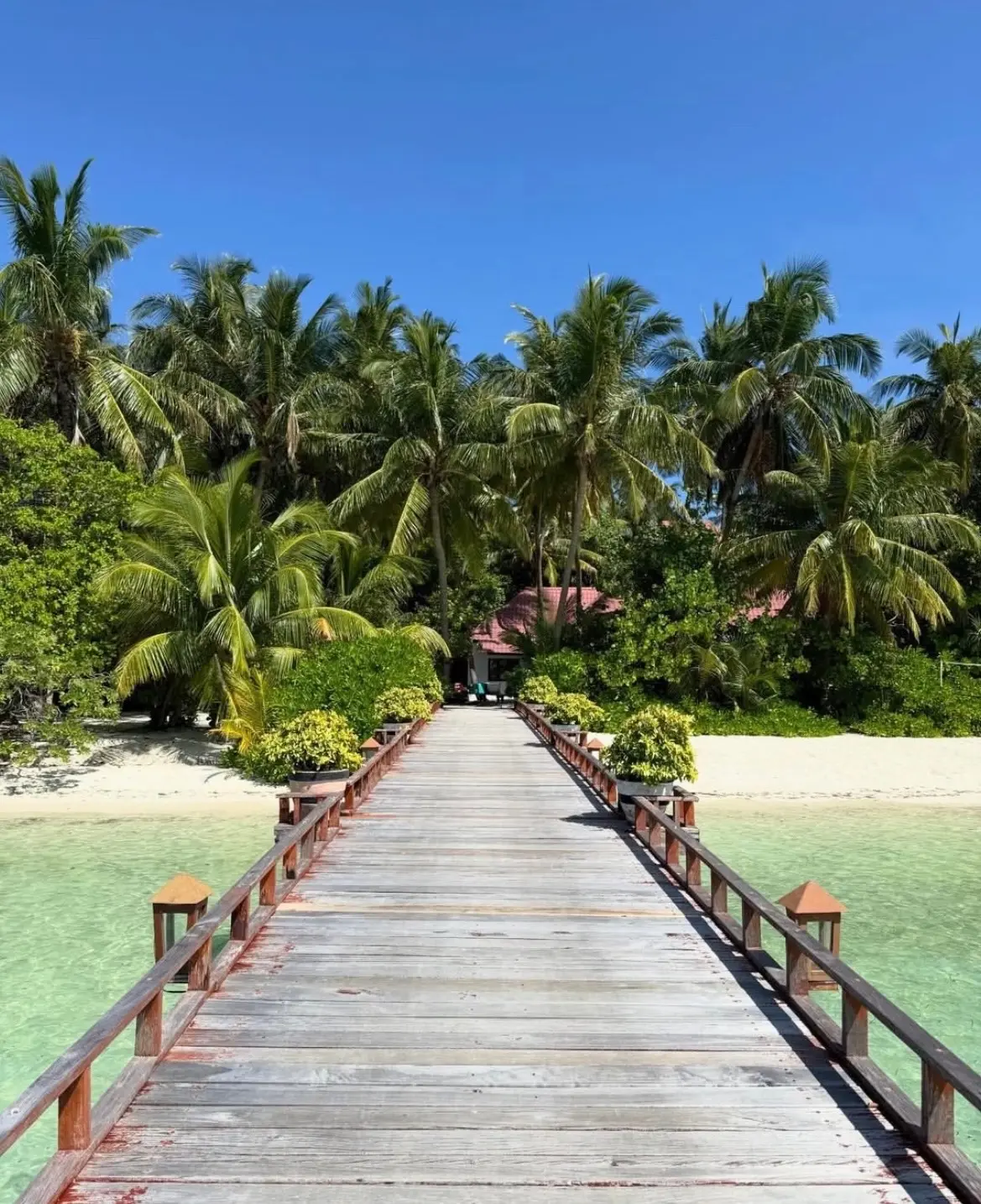 ✨Доступные  МАЛЬДИВЫ НА ВСЕ ВКЛЮЧЕНО
🐠MEDHUFUSHI ISLAND RESORT 5*  за  170 000 ₽/чел с перелетом из