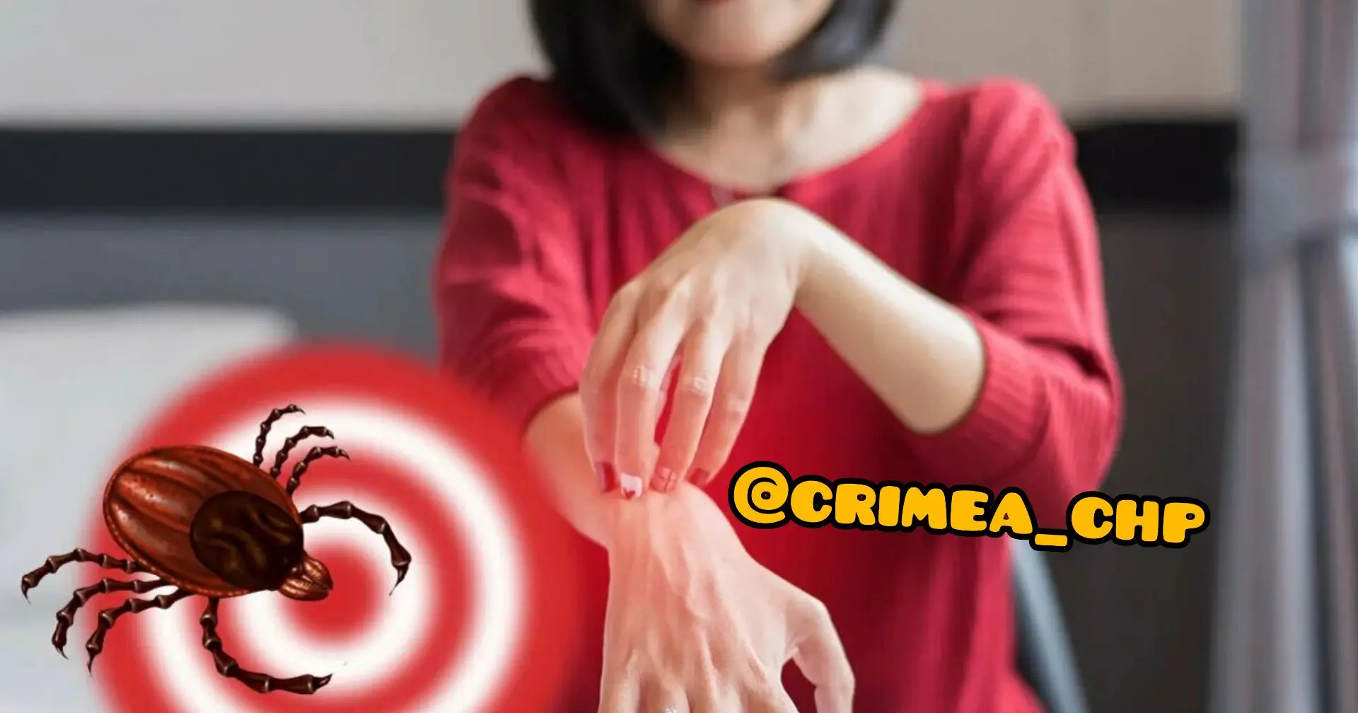 ⚡В Крыму и Севастополе возросло число случаев заражения боррелиозом после укусов клещей
