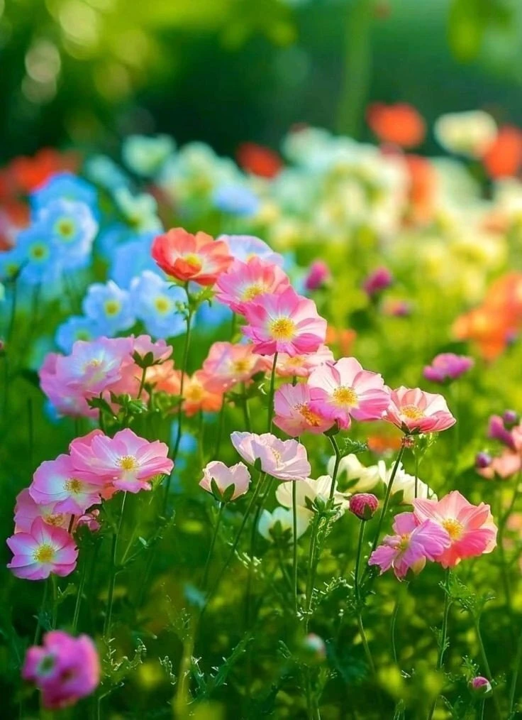 Добром добро оплатишь - молодец. На зло добром ответишь - ты мудрец 🍃

~ Омар Хайям ~

............