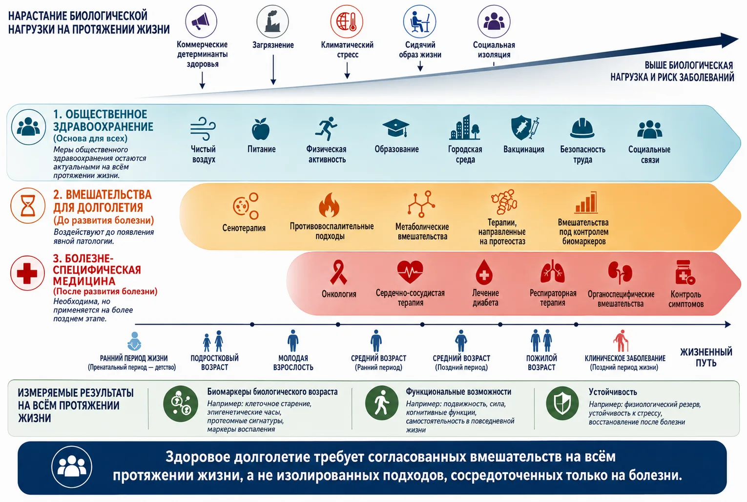 📝 ДОЛГОЛЕТИЕ НУЖНО ВСТРАИВАТЬ В СИСТЕМУ ЗДРАВООХРАНЕНИЯ

В редакционной статье 2026 года в журнале 