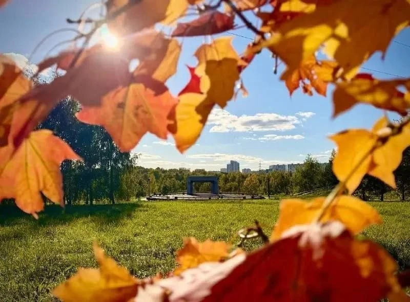 🌤В первую пятницу октября в городе до +13°С градусов, переменная облачность и без осад...