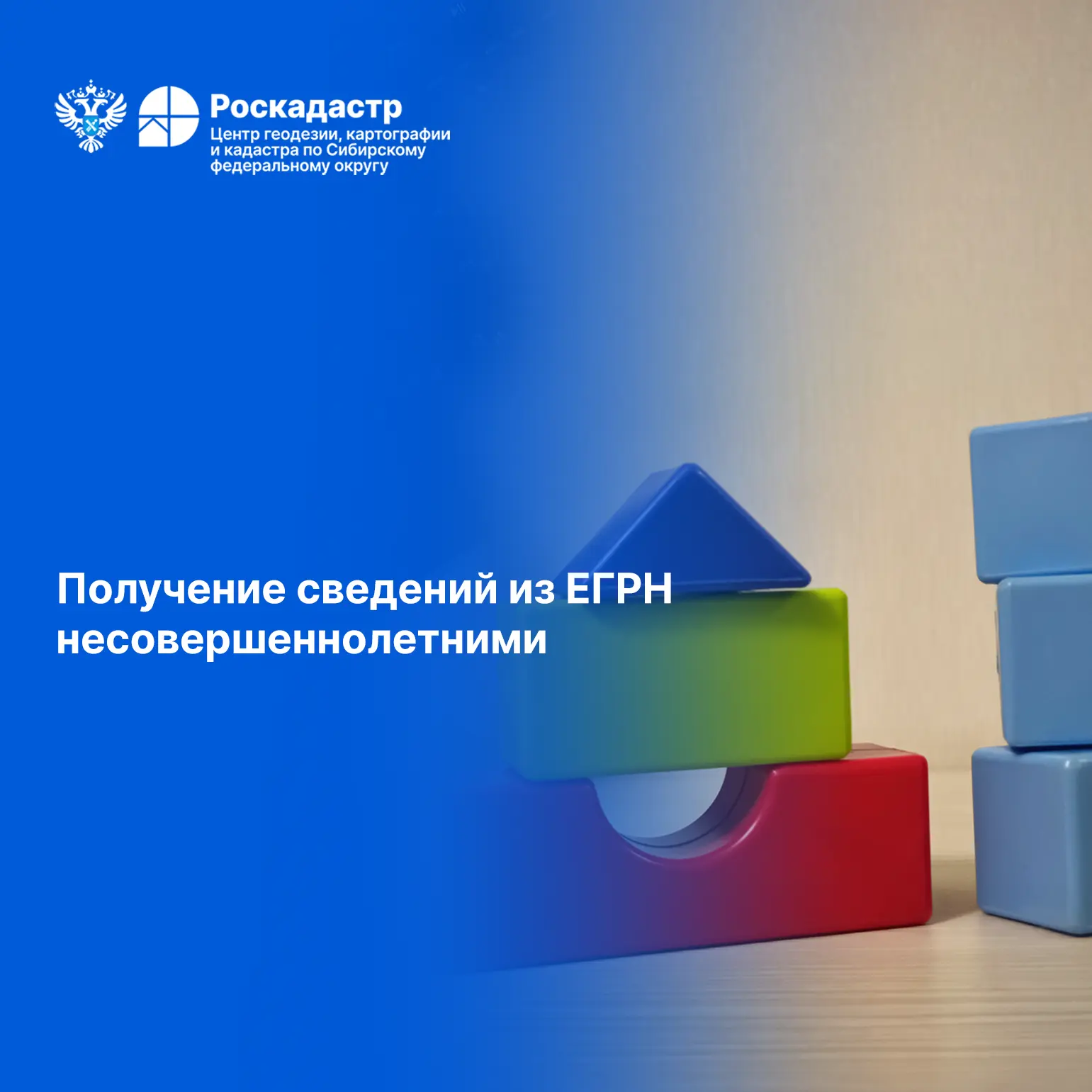 Как получить информацию из ЕГРН о наличии объектов недвижимости у несовершеннолетних