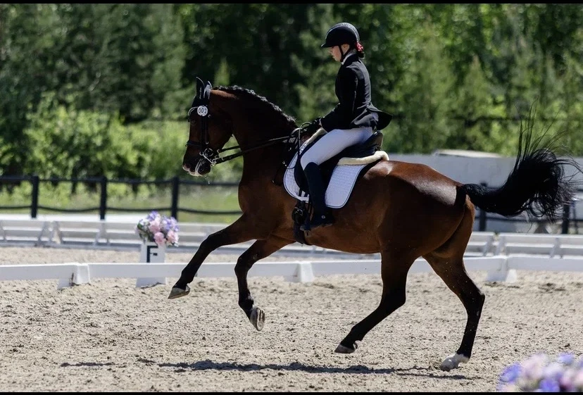 Тюменка стала абсолютным чемпионом Первенства УрФО по выездке 🐴