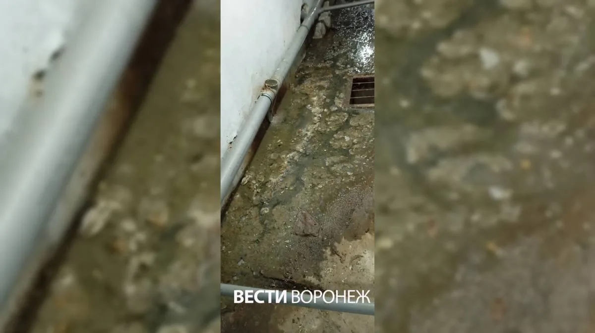🤢 Жильцы пятиэтажки в Воронеже пожаловались на затопленный нечистотами подвал-укрытие.