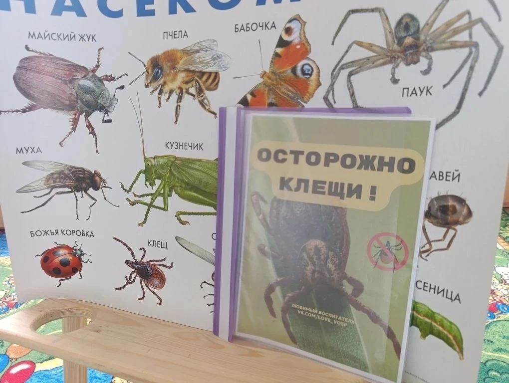 В группе «Ромашка» прошло познавательное занятие «Осторожно, клещи!».