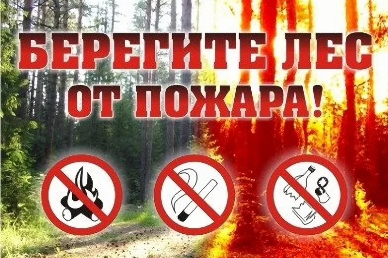 🌲 ВНИМАНИЕ, ЖИТЕЛИ МОНГУН-ТАЙГИНСКОГО КОЖУУНА!