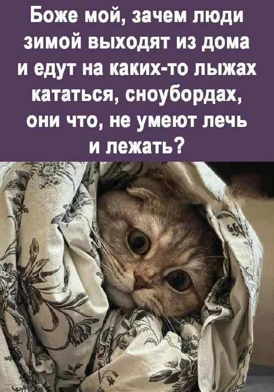 🎃 Весело у нас 🧨