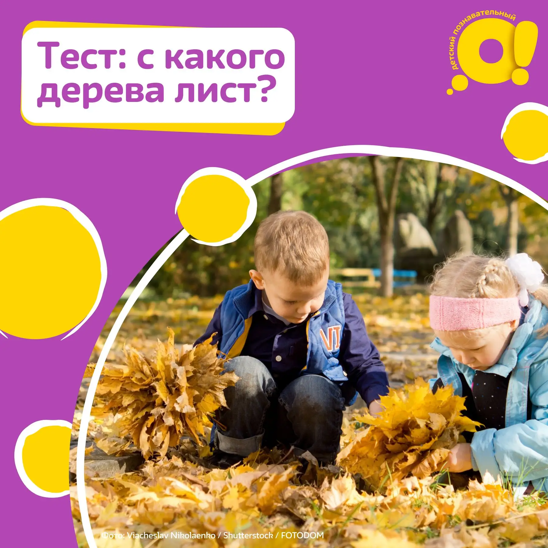 Пора собирать самые красивые листья