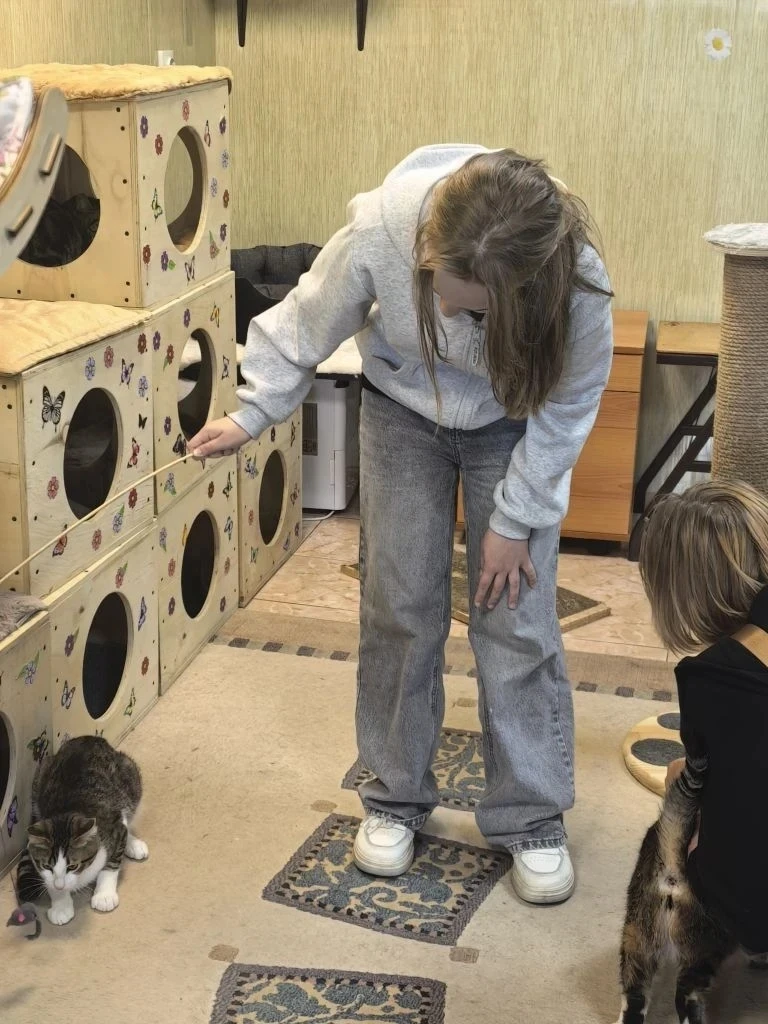 🐾 6-А класса посетили приют для бездомных животных «Пёс и кот» 🐶🐱  🏠🐕 В преддверии каникул ученики 6